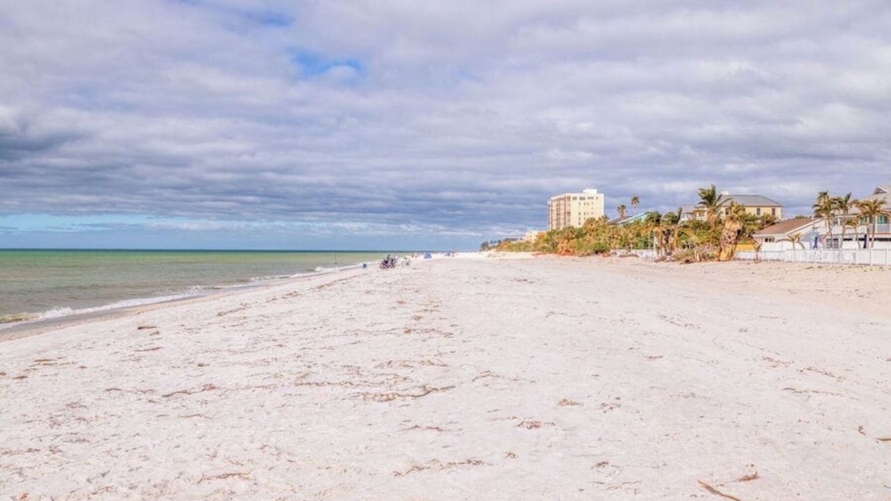 Photo of Others in Indian Rocks Beach