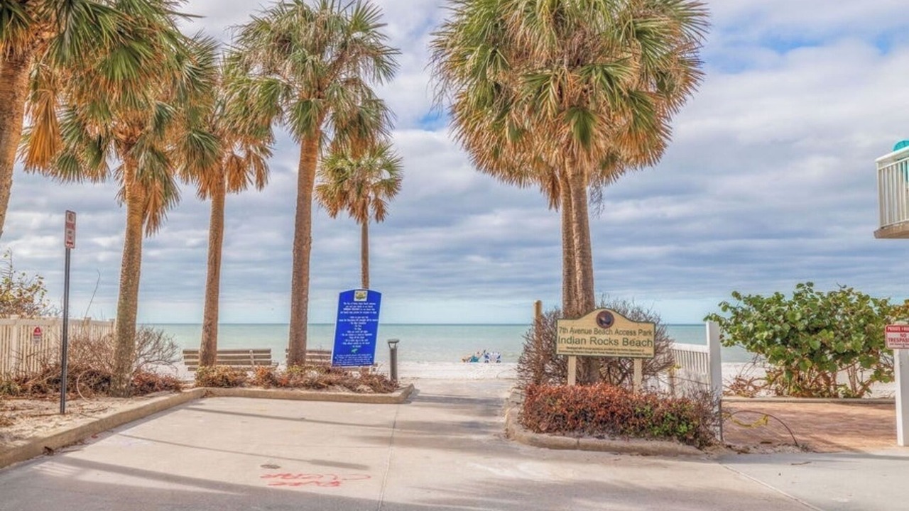 Photo of Others in Indian Rocks Beach