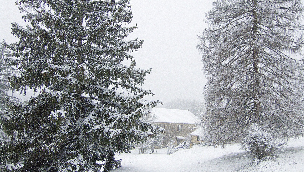 Photo of Others in Saint-Marcel-du-Perigord