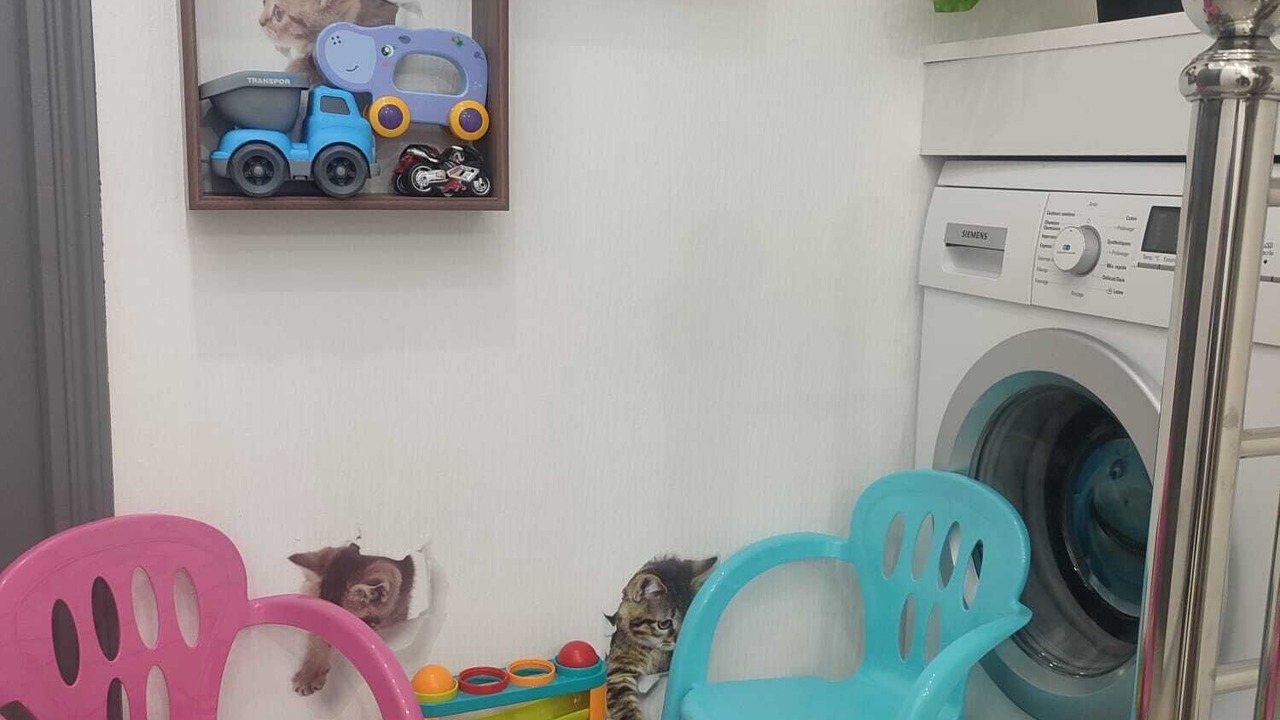 Photo of Others in Souge-le-Ganelon