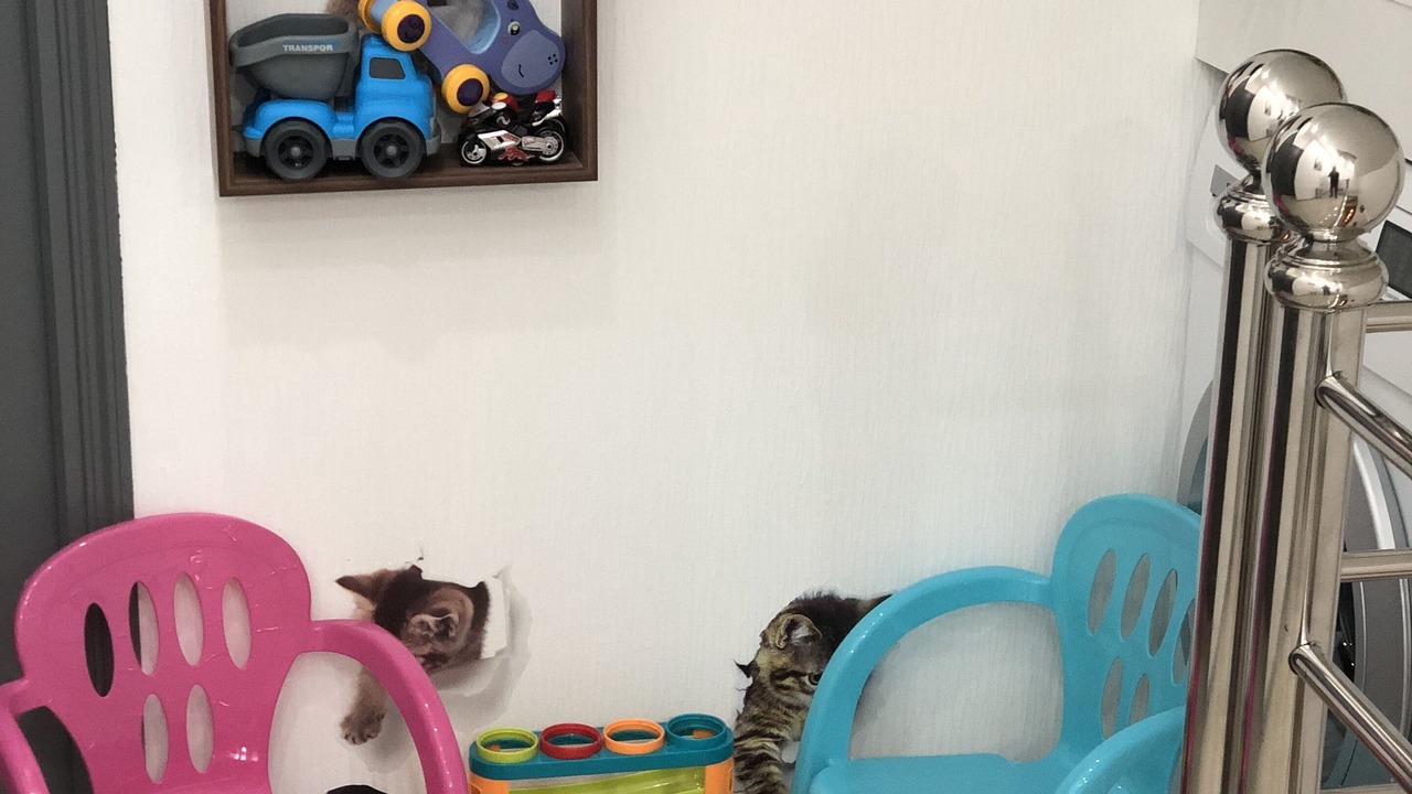 Photo of Others in Souge-le-Ganelon