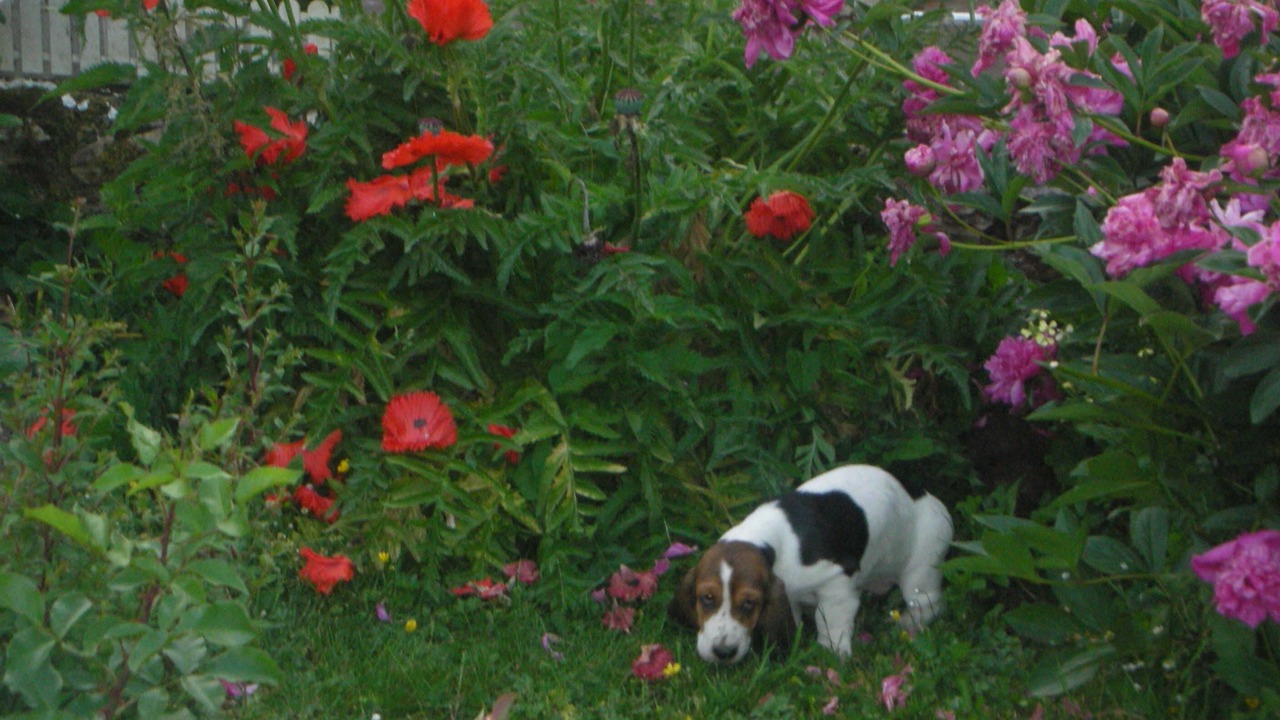 Photo of Outdoor in Boursault
