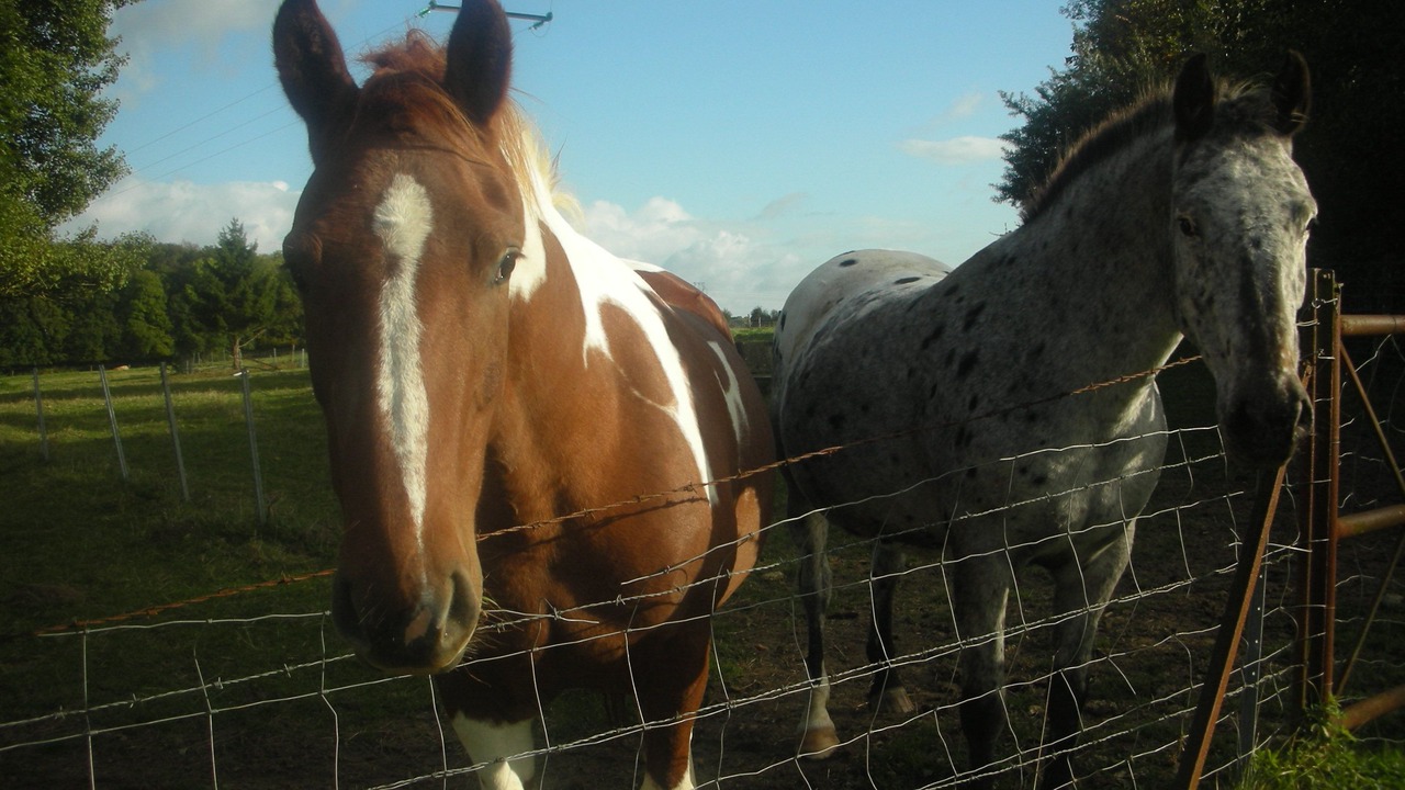 Photo of Others in Boursault