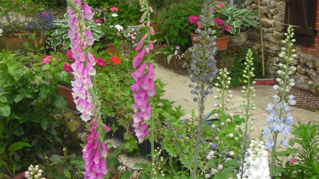 Photo of Outdoor in Boursault