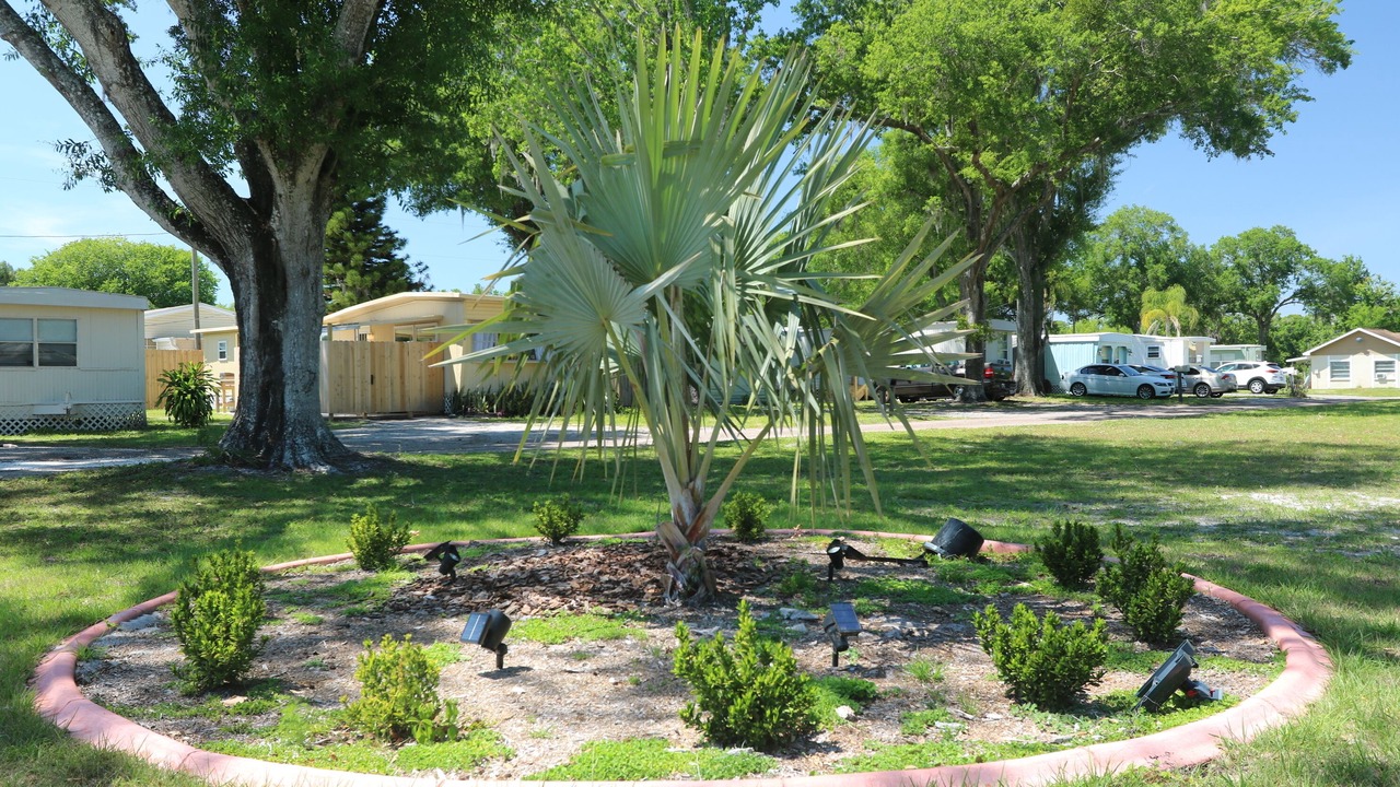Photo of Outdoor in Lutz