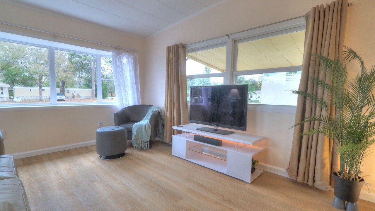Photo of Livingroom in Lutz
