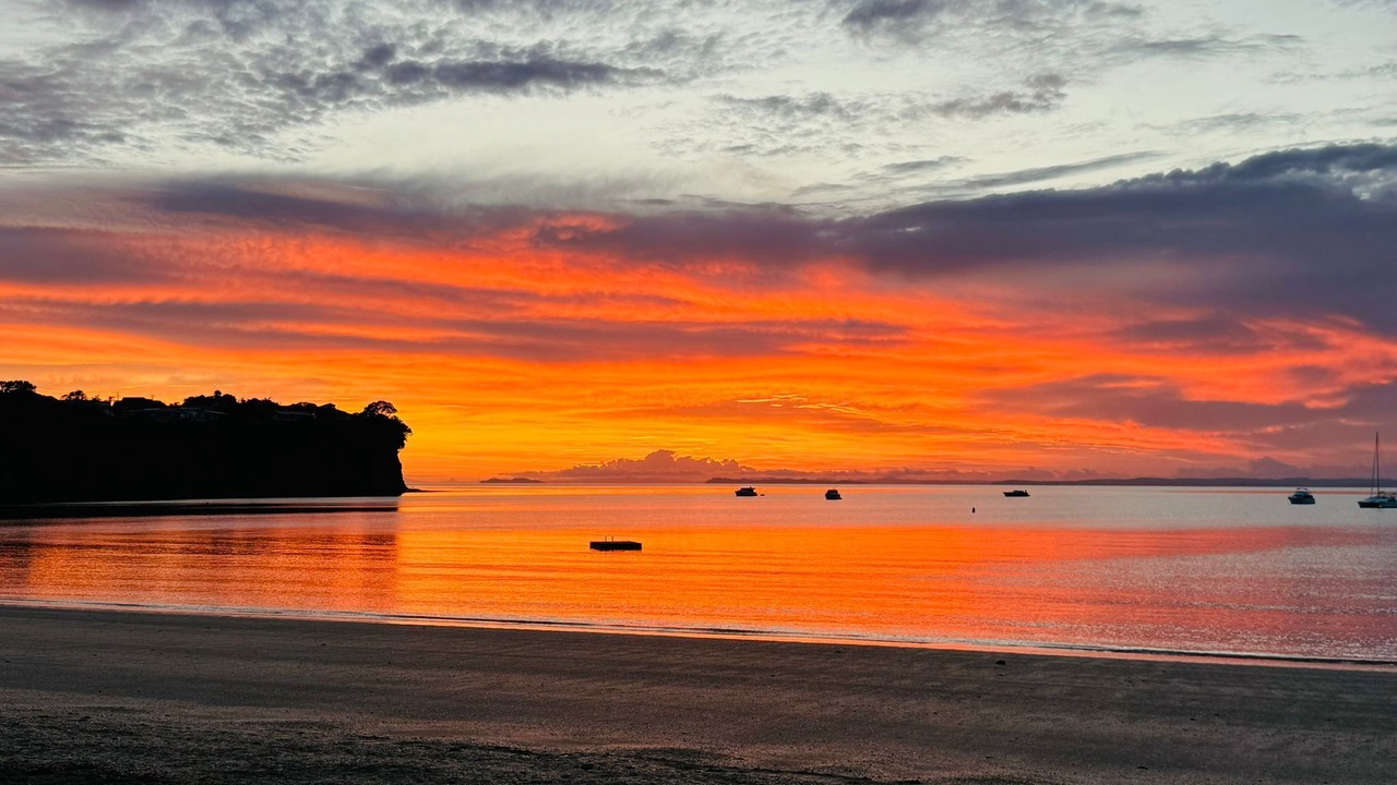 Photo of Others in Arkles Bay