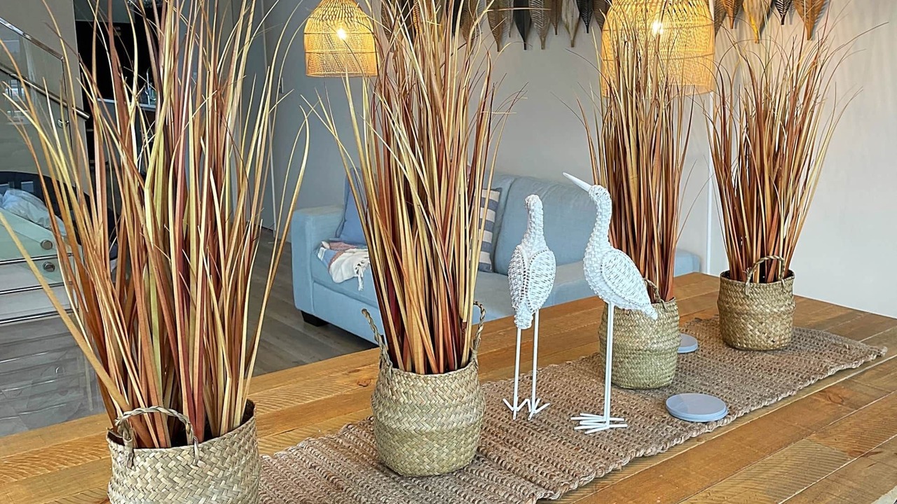 Photo of Others in Flat Bush