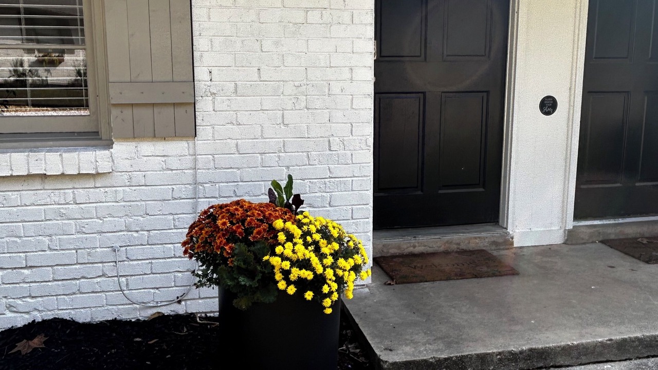 Photo of Outdoor in Covington