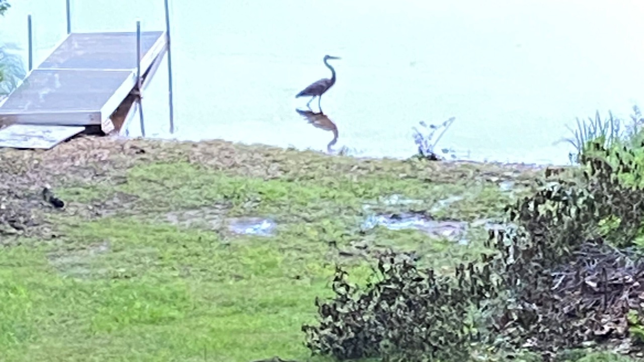 Photo of Outdoor in Brimfield