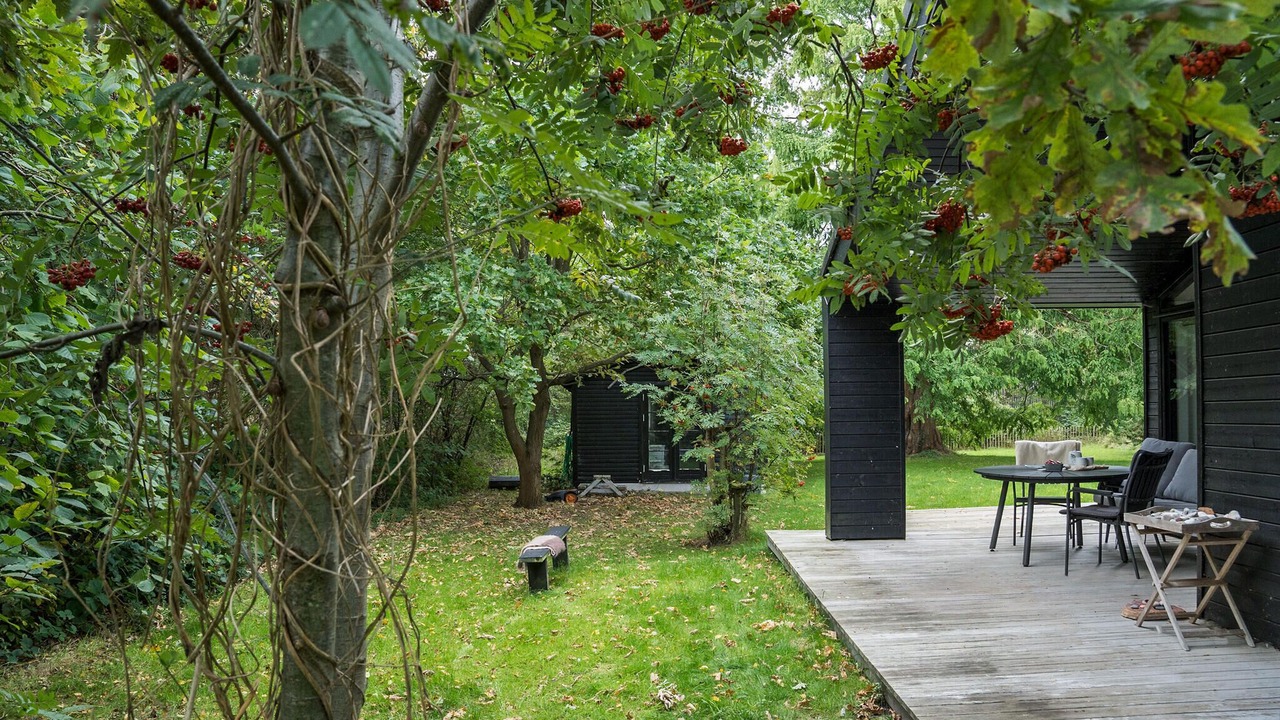 Photo of Others in Stege