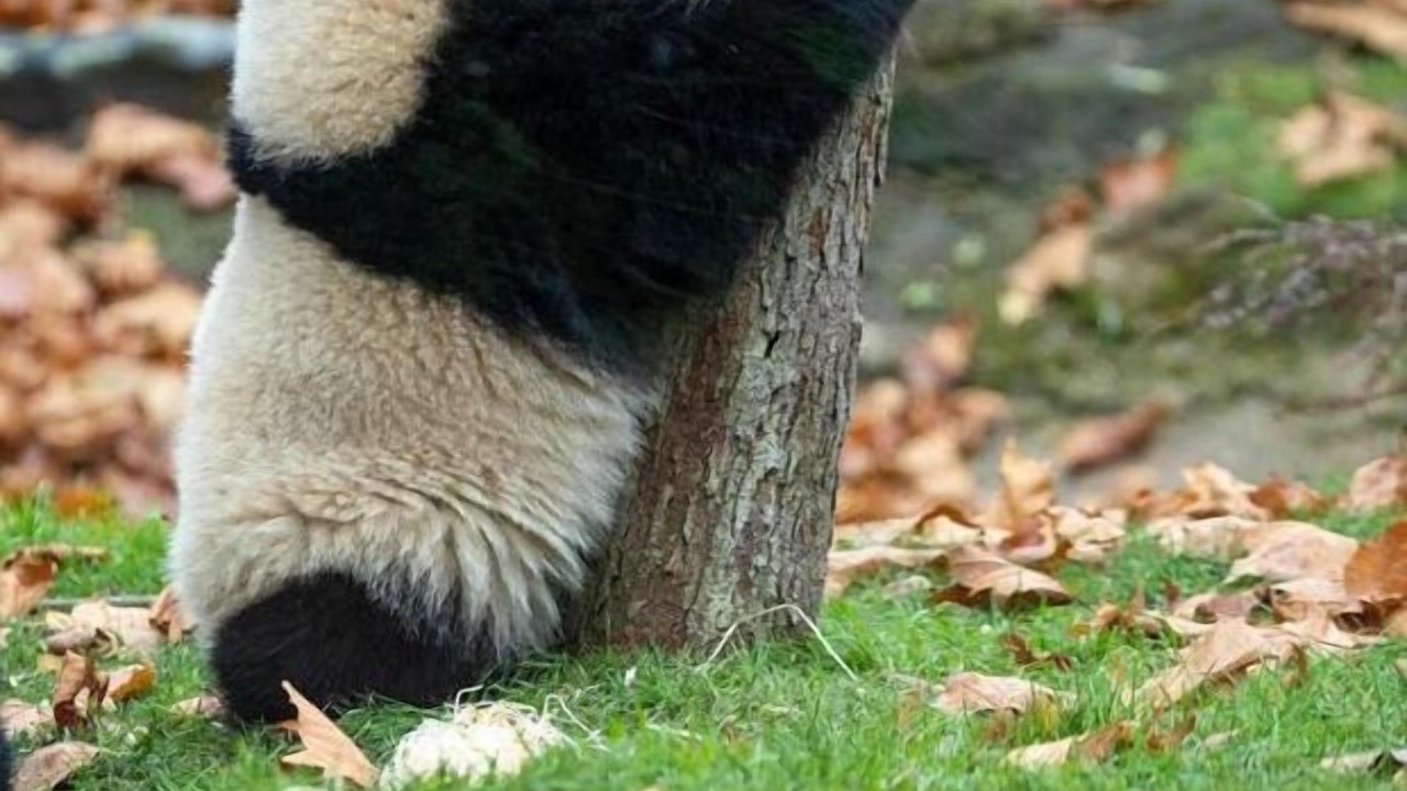 Photo of Others in Amboise