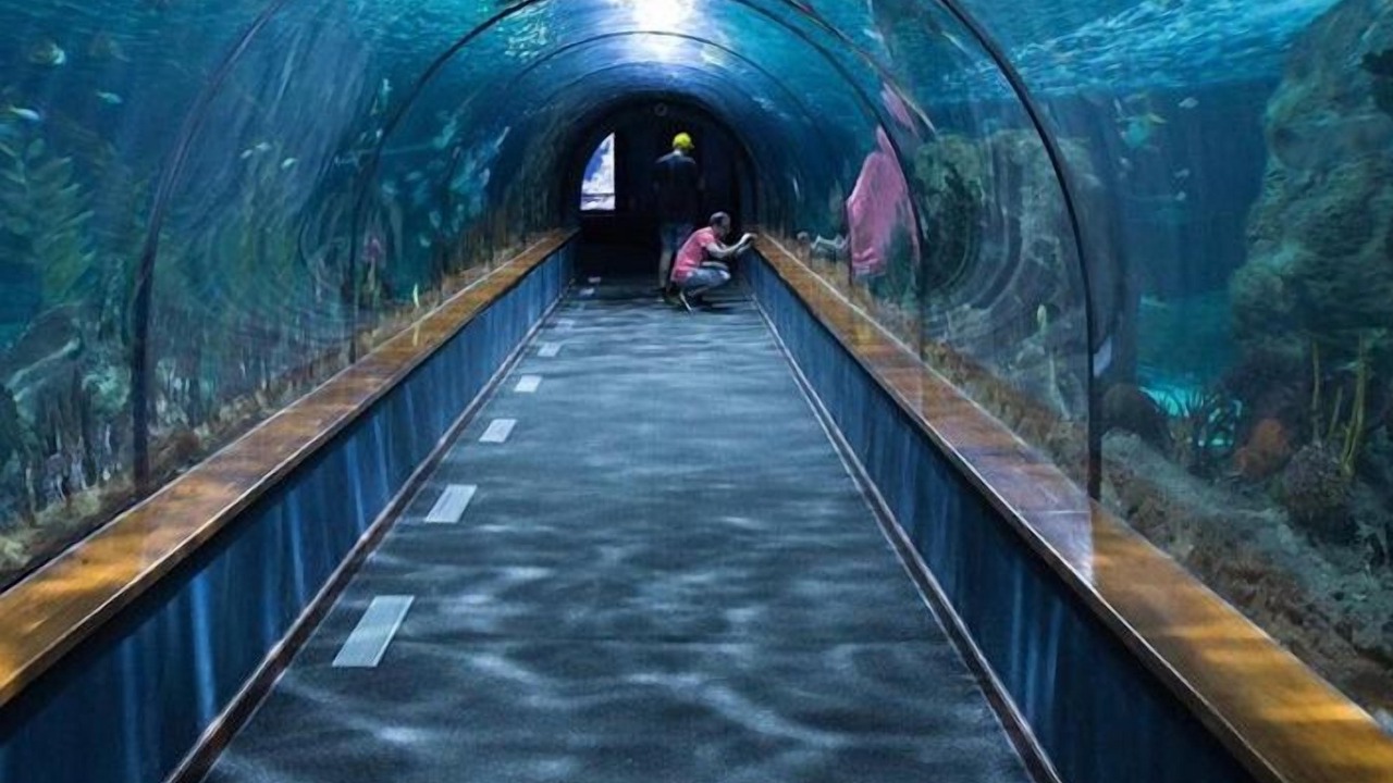 Photo of Others in Amboise