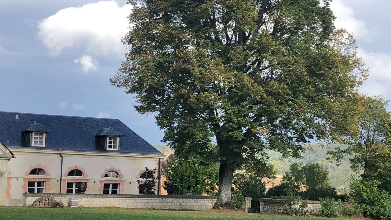 Photo of Outdoor in Tosny