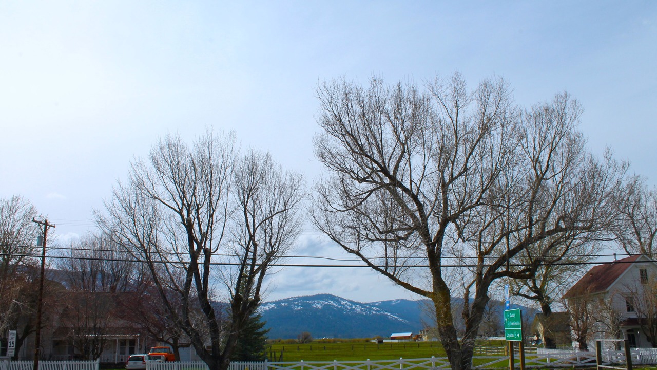Photo of Others in Sierraville