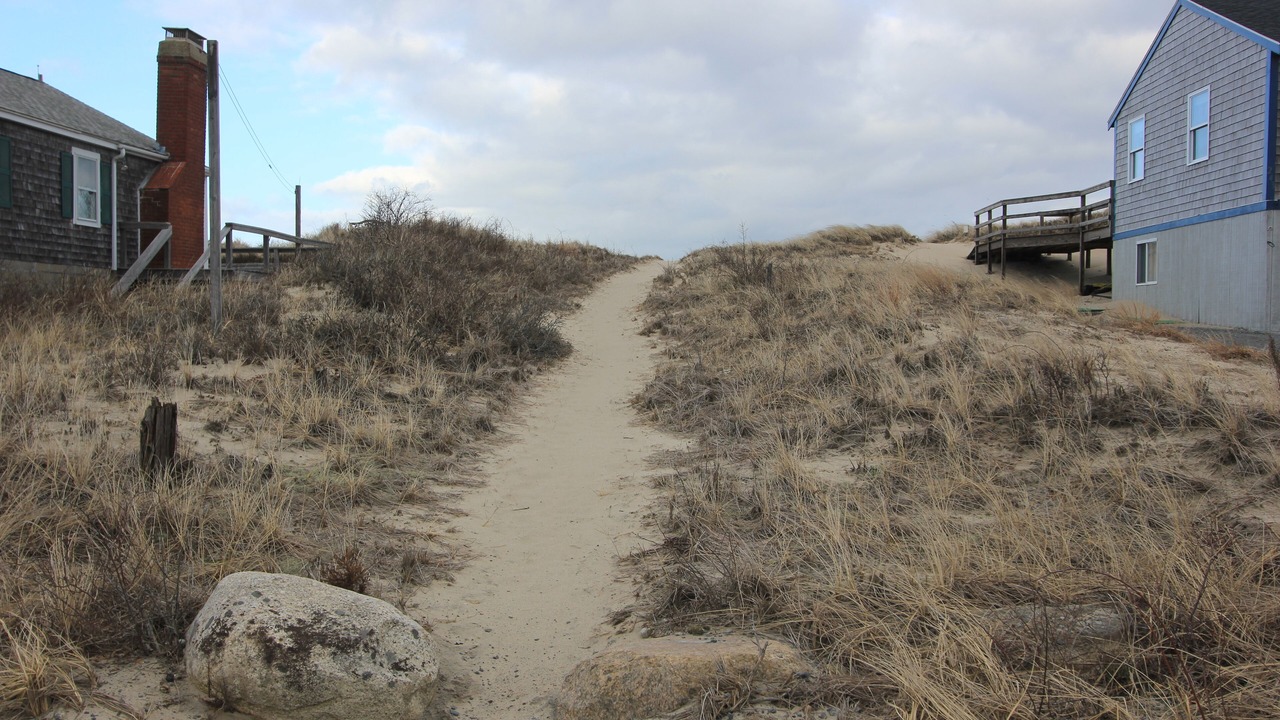 Photo of Others in Sagamore Beach