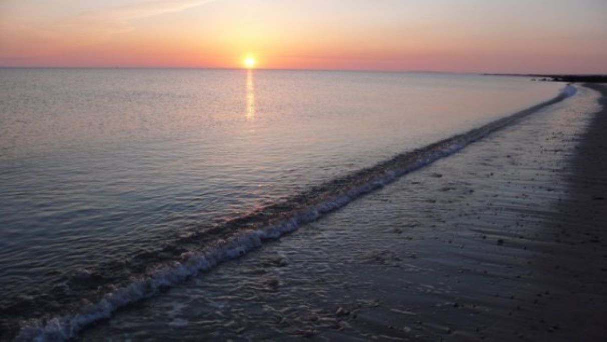 Photo of Others in Sagamore Beach