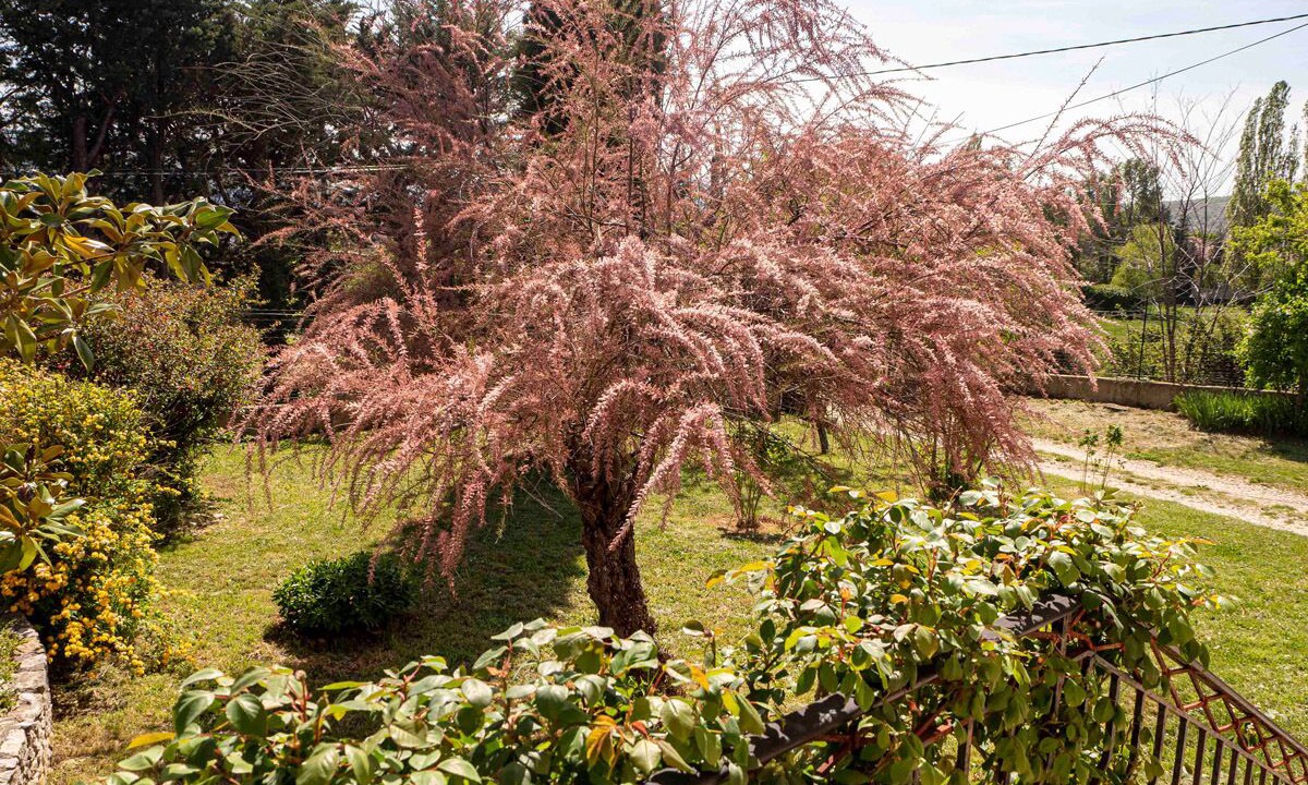Photo of Outdoor in Saint-Etienne-les-Orgues