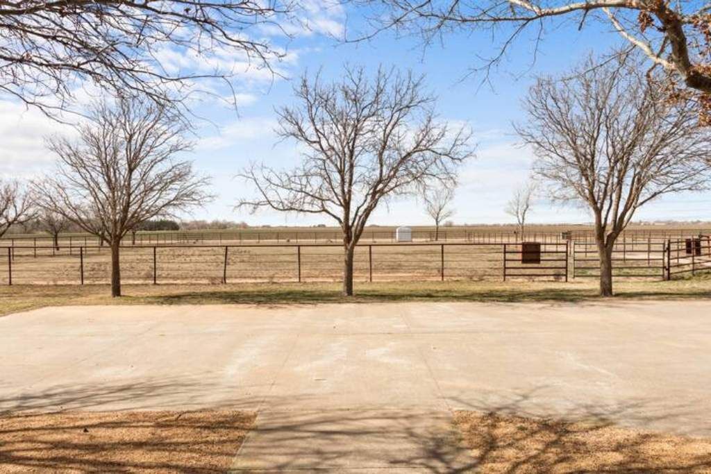 Photo of Others in Shallowater