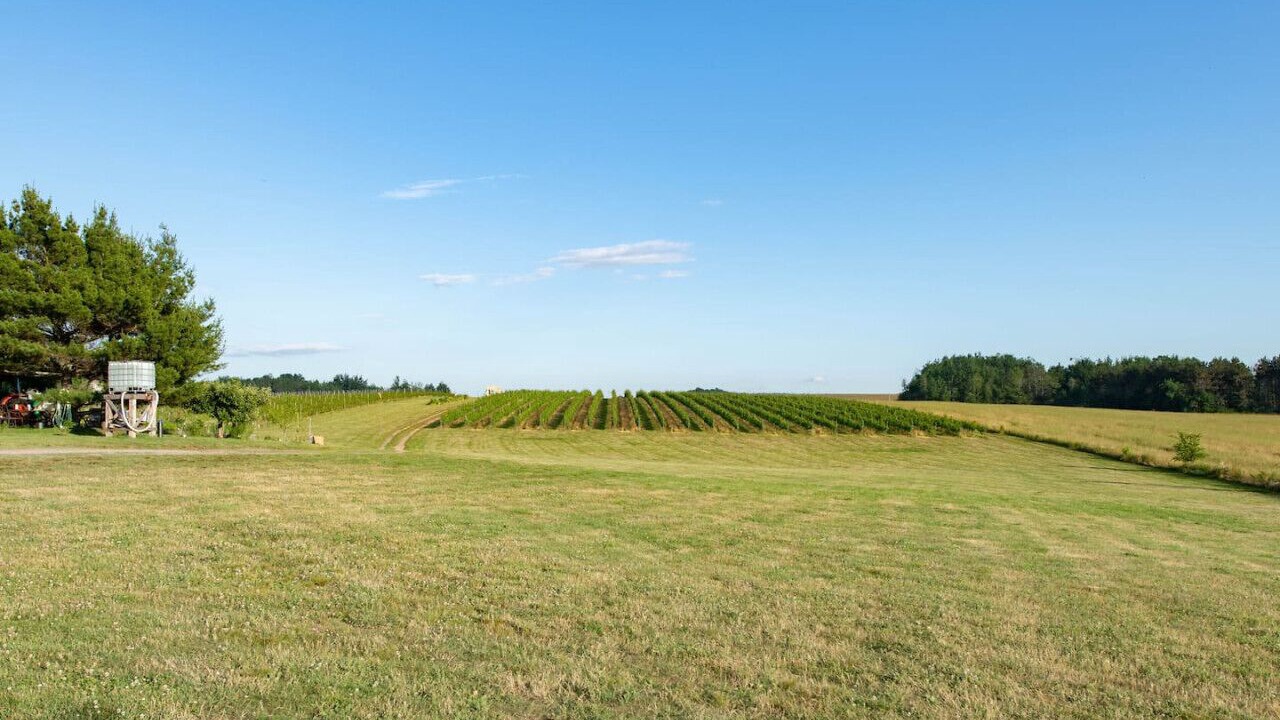 Photo of Others in Wolfville