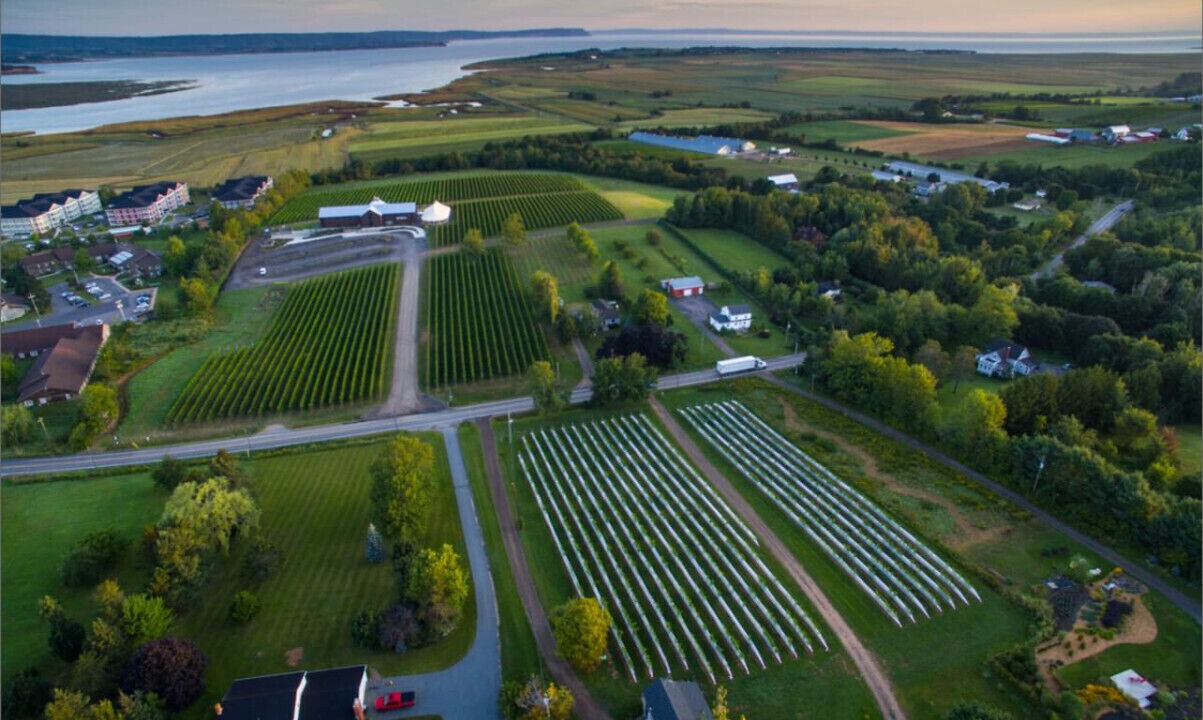 Photo of Outdoor in Wolfville
