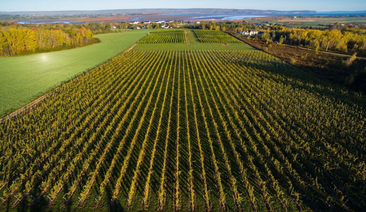Photo of Outdoor in Wolfville