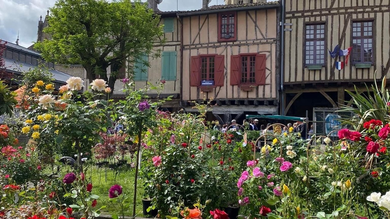 Photo of Outdoor in Mirepoix