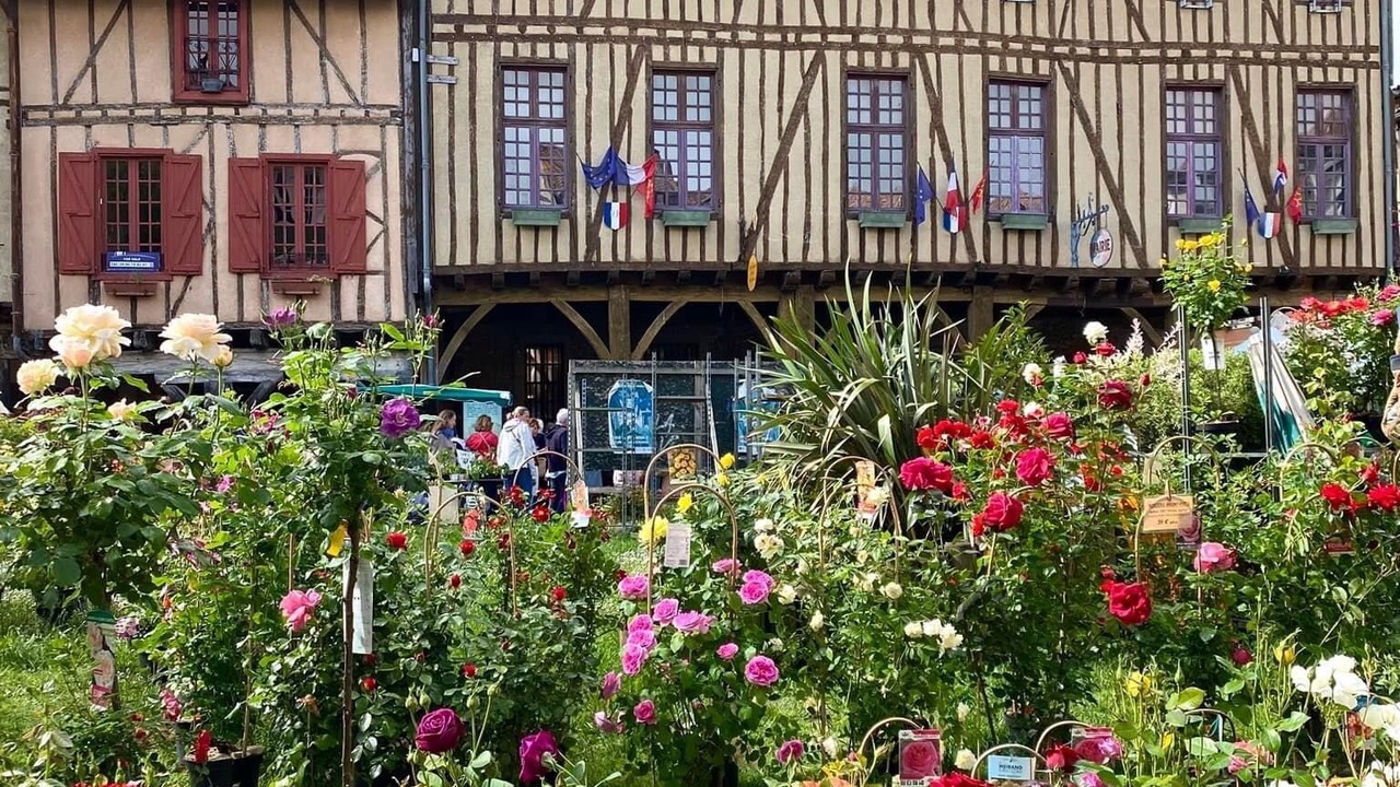 Photo of Outdoor in Mirepoix