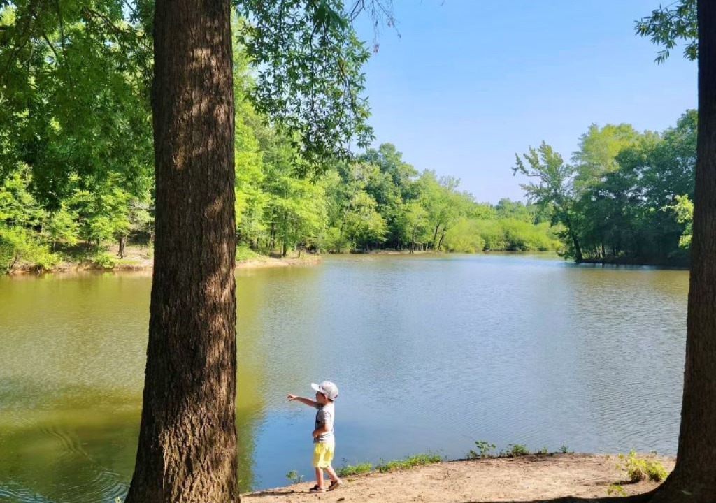 Photo of Others in Flatwoods