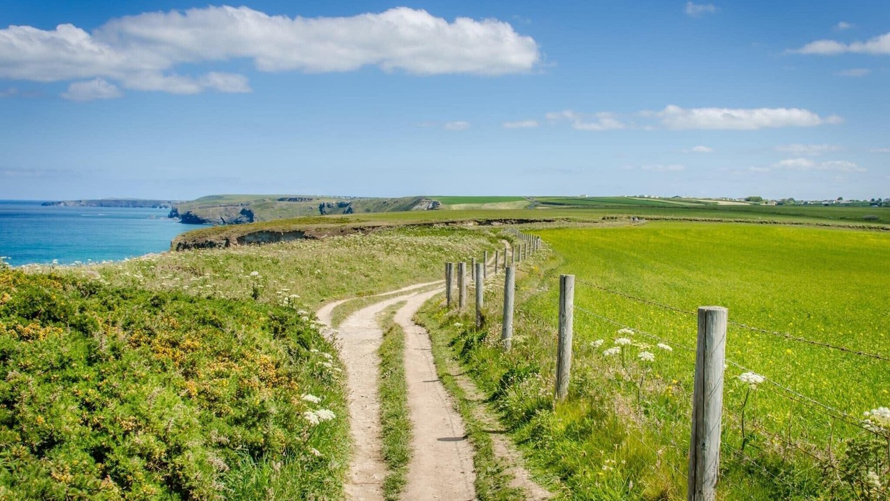 Photo of Others in Lusty Glaze