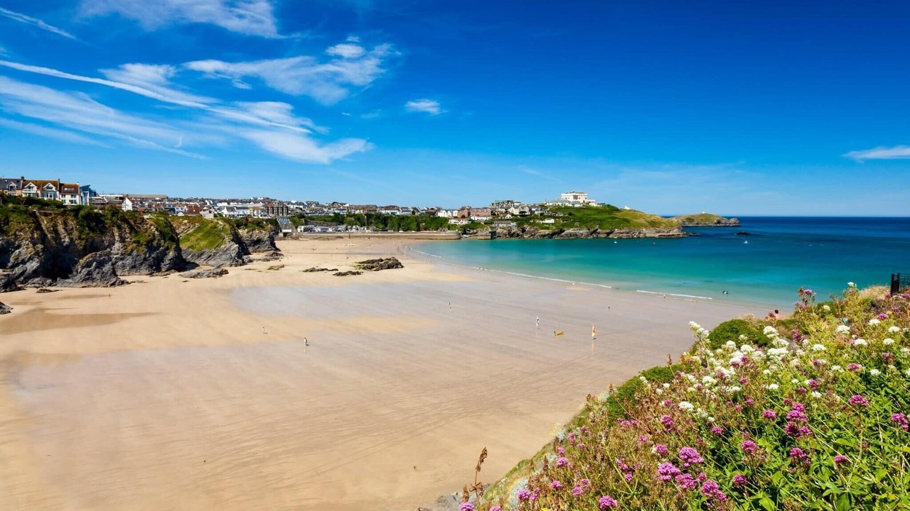 Photo of Others in Lusty Glaze