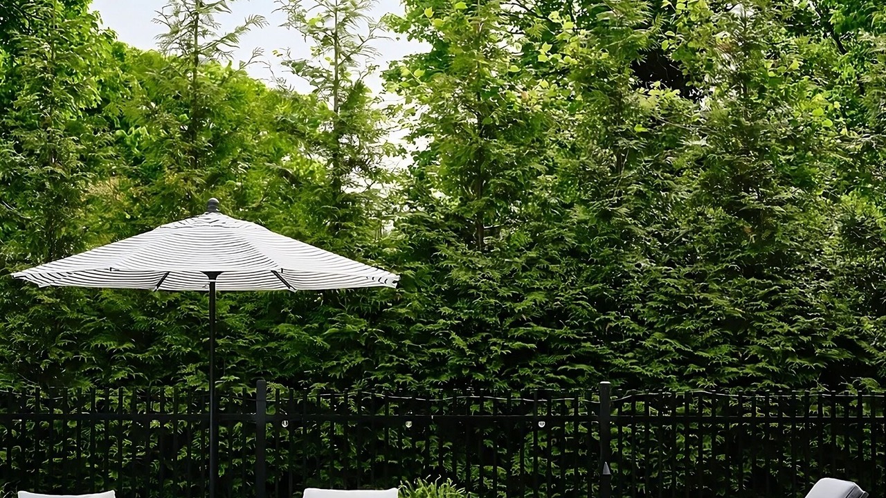 Photo of Outdoor in East Hampton North