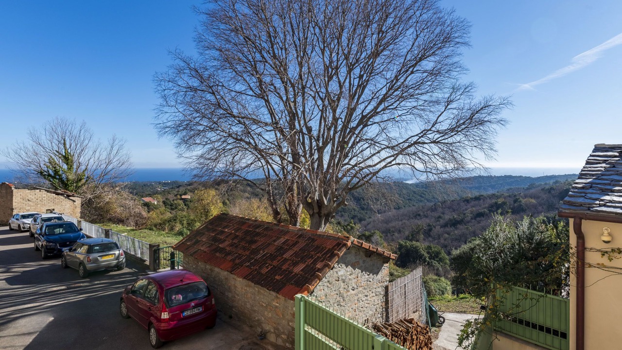 Photo of Others in San-Giuliano