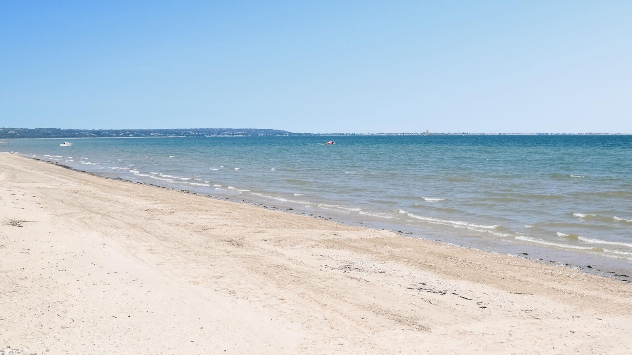 Photo of Others in Quettehou