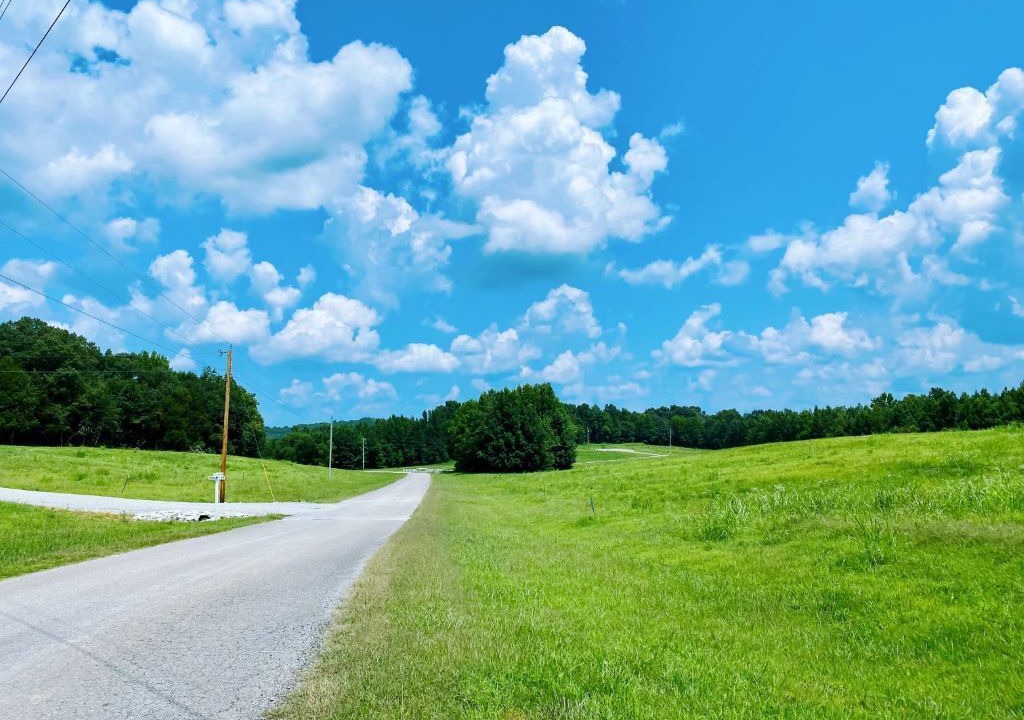Photo of Outdoor in Flatwoods