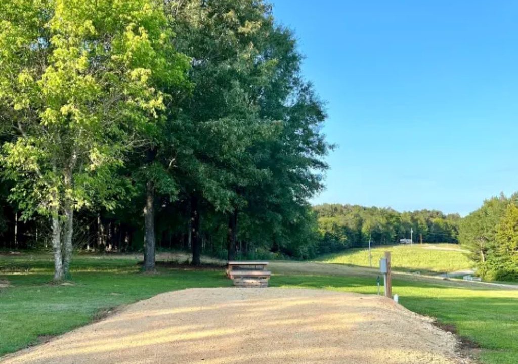 Photo of Outdoor in Flatwoods