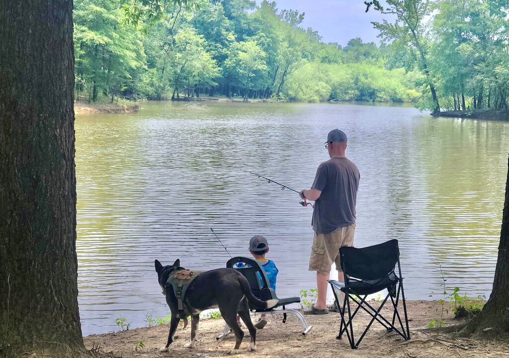 Photo of Outdoor in Flatwoods