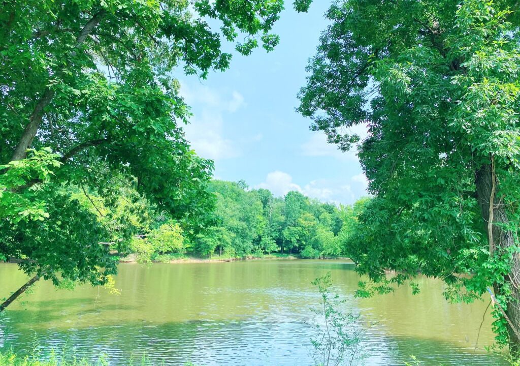 Photo of Outdoor in Flatwoods