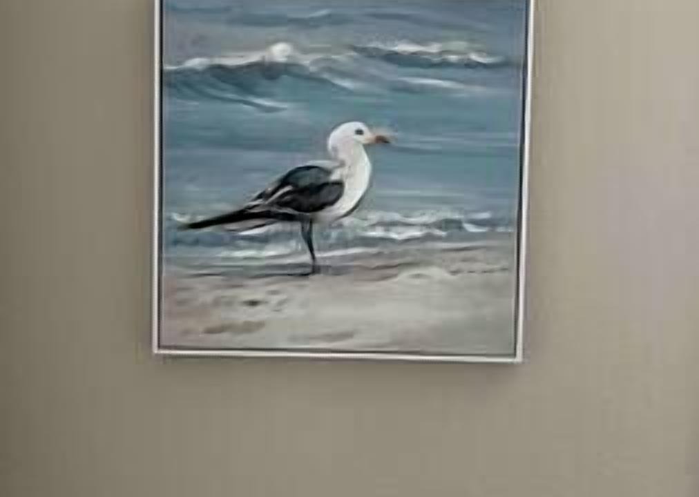 Photo of Others in Port Lavaca