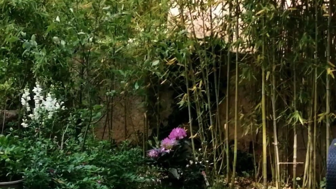 Photo of Outdoor in Chateauneuf-le-Rouge