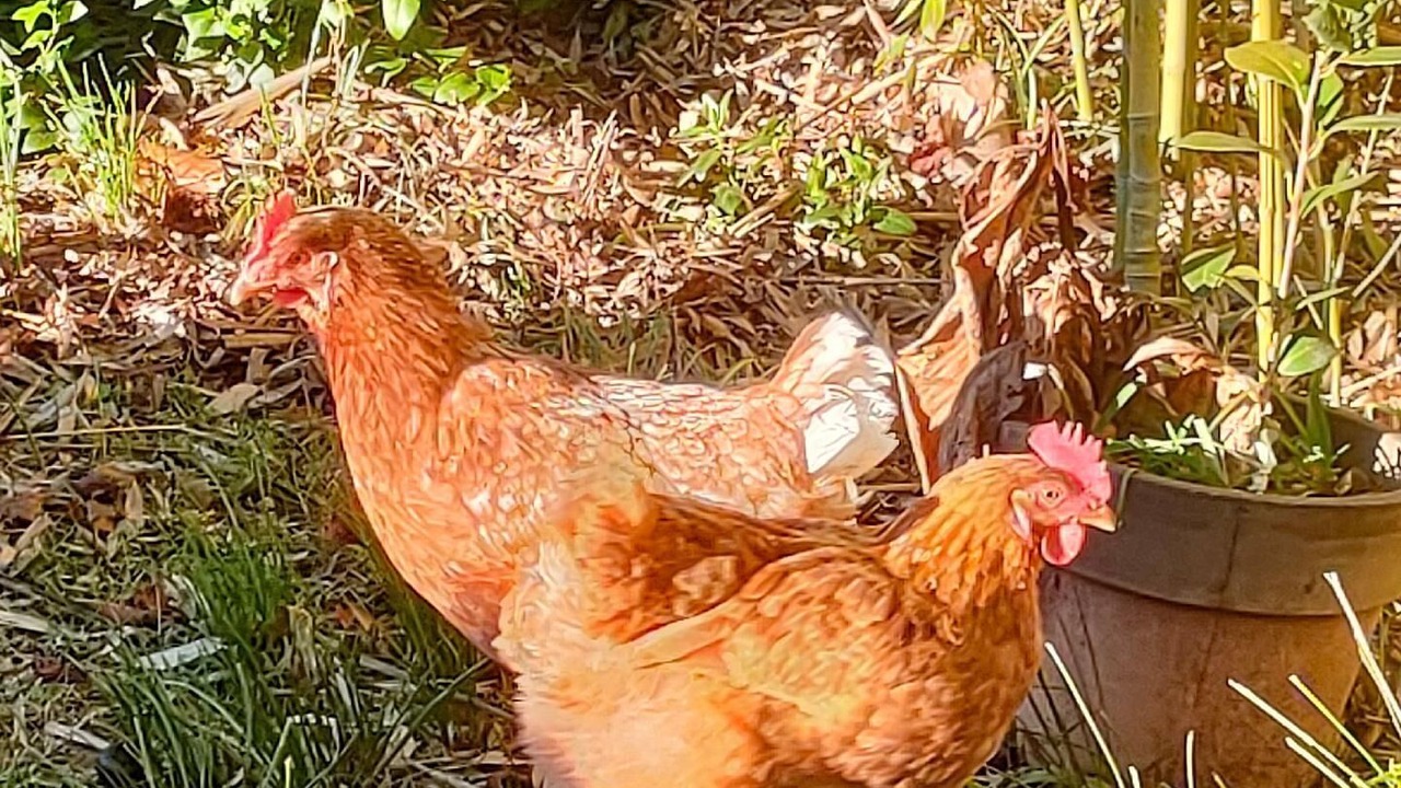 Photo of Outdoor in Chateauneuf-le-Rouge