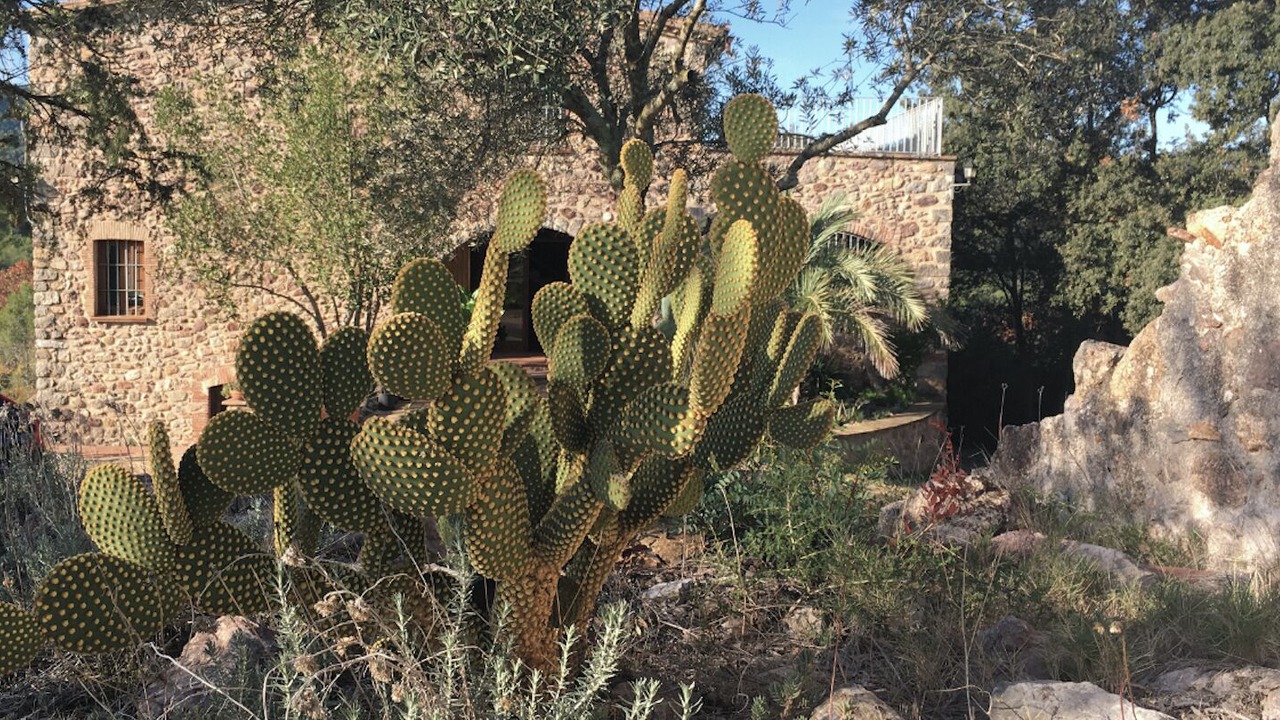 Photo of Outdoor in Boadella i les Escaules