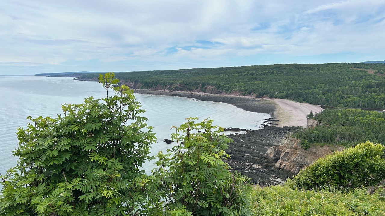 Photo of Others in West Quaco