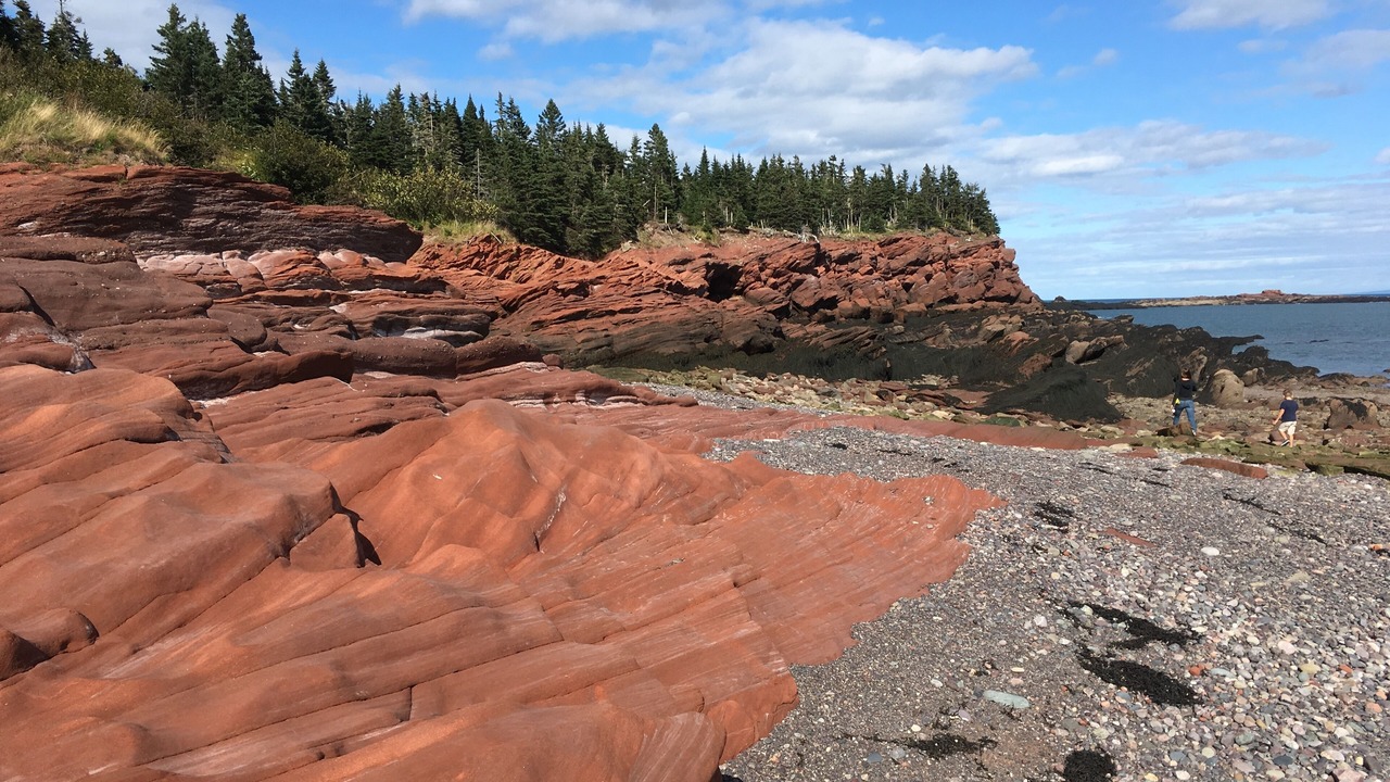 Photo of Others in West Quaco