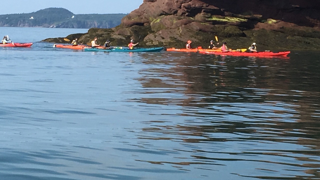 Photo of Others in West Quaco