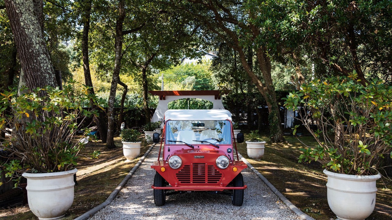 Photo of Outdoor in Soorts-Hossegor