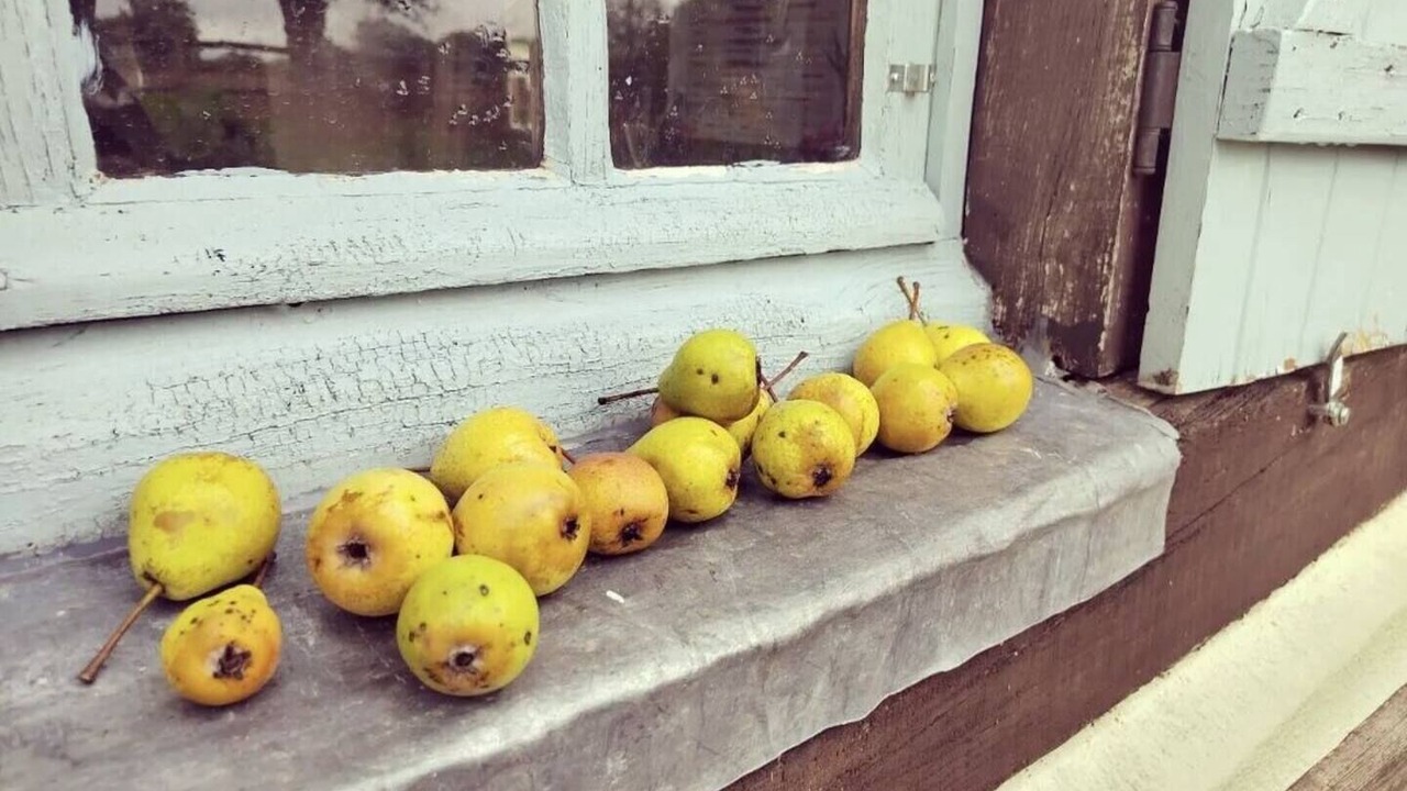 Photo of Others in Notre-Dame-de-Courson