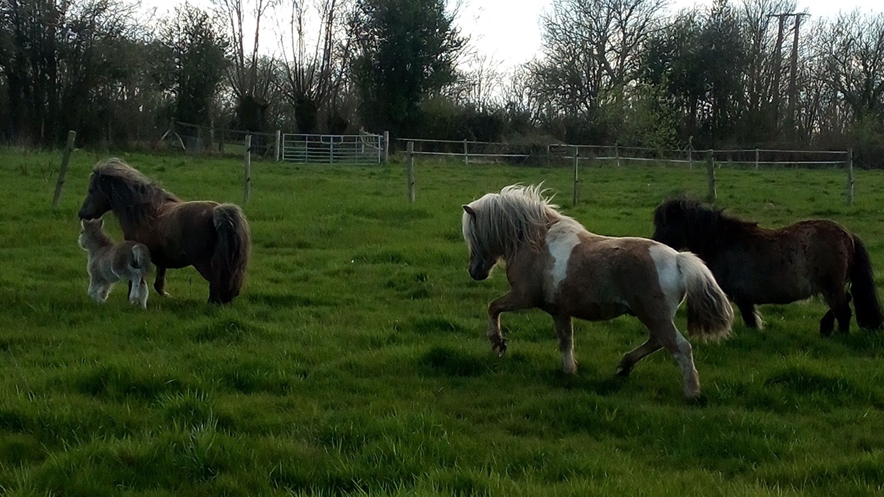 Photo of Bathroom in Notre-Dame-de-Courson