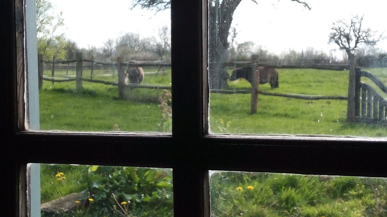 Photo of Others in Notre-Dame-de-Courson