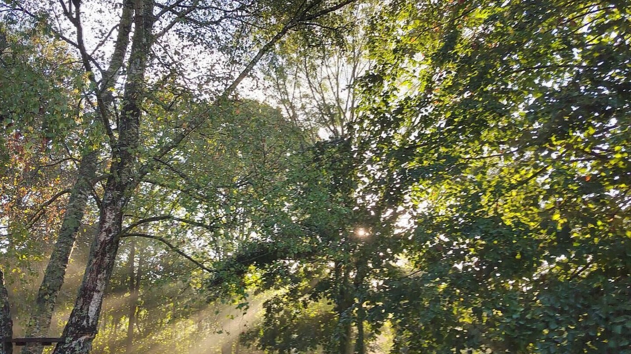 Photo of Others in Notre-Dame-de-Courson